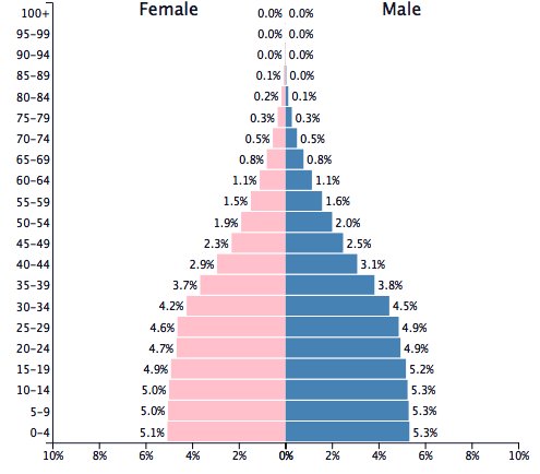 Population of Afghanistan 2036 - PopulationPyramid.net